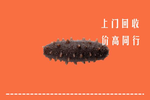 高价求购：桥西区回收海参